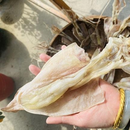 【海货精选】东山海鲜•带着卵的母鱿鱼 原生态晾晒工艺 不加盐 不添加色素 月子餐必备 商品图1
