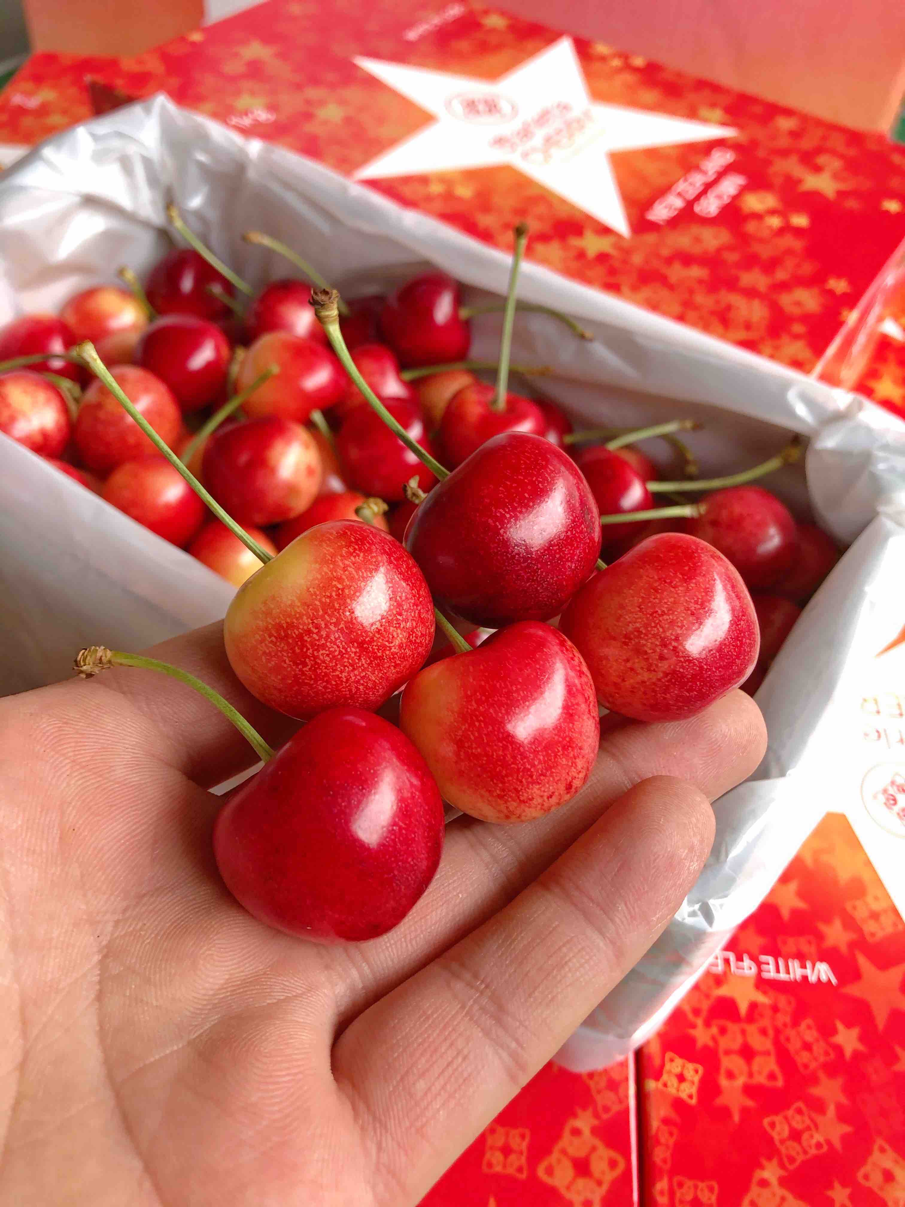 新西兰黄车新西兰空运蕾妮尔黄车厘子货脆甜口感口感很好入口核小自吃