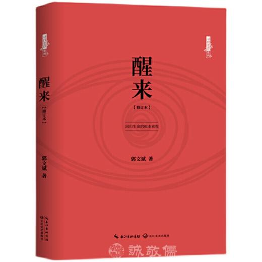 醒来（修订版）寻找安详系列郭文斌老师现代文学散文幸福生活心理 商品图1