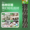 绿叶（Green Leaf）粘蝇条粘苍蝇纸粘蝇彩带蚊虫粘纸30条装JD3001 商品缩略图4