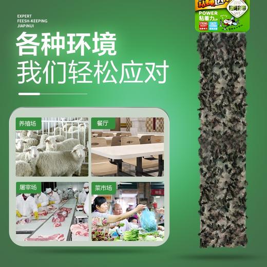 绿叶（Green Leaf）粘蝇条粘苍蝇纸粘蝇彩带蚊虫粘纸30条装JD3001 商品图4