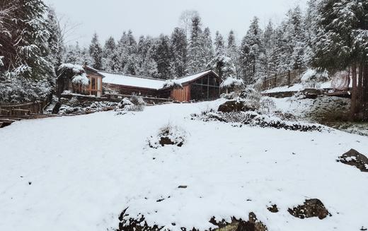 【彭州·476号院】4房森林小院，全屋地暖、投影，山林避暑、隐于乡野的山间雅致 ZZSJ 商品图2