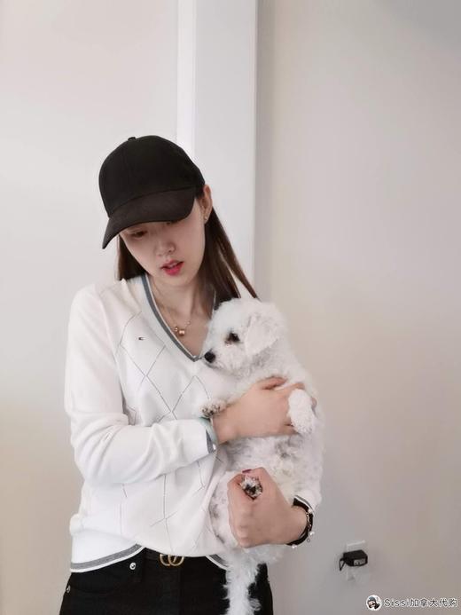 国内现货 Tommy Hilfiger专柜女士针织衫女士新款秋菱格纯色V领休闲针织衫毛衣 商品图8