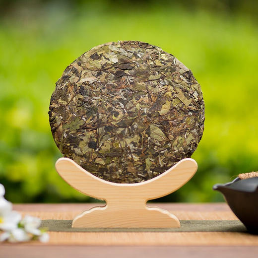 白茶 中茶 2019年白牡丹5911白茶饼 357g 商品图2