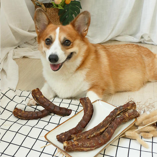 宠物狗狗烘干鸭脖子狗零食风干香酥磨牙棒洁牙棒 商品图1