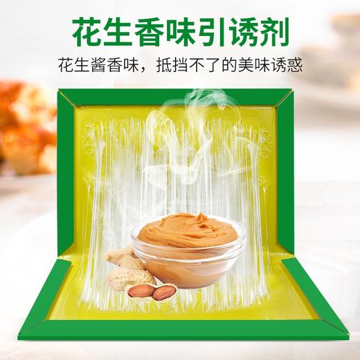 金大侠粘鼠板老鼠贴捕鼠器10张 商品图5