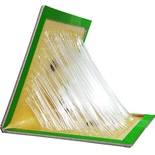 金大侠粘鼠板老鼠贴捕鼠器10张 商品图7