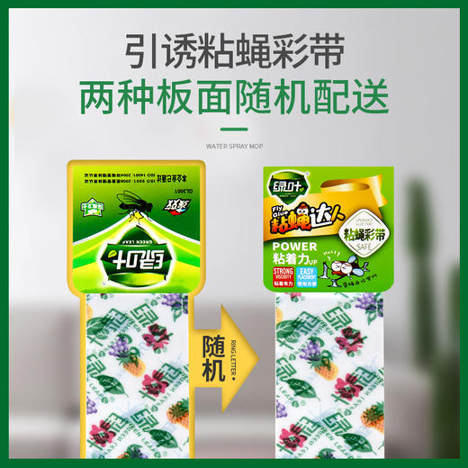 绿叶（Green Leaf）粘蝇条粘苍蝇纸粘蝇彩带蚊虫粘纸30条装JD3001 商品图1