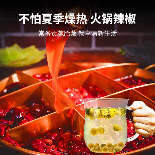 贡苑 茶叶 花草茶 菊花茶 胎菊花茶160g 桐乡花蕾杭白菊 优选泡水喝的花茶 商品图6