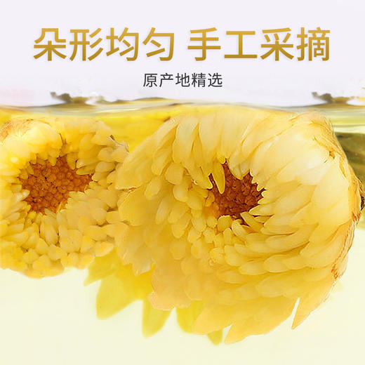 贡苑 茶叶 花草茶 菊花茶 胎菊花茶160g 桐乡花蕾杭白菊 优选泡水喝的花茶 商品图3