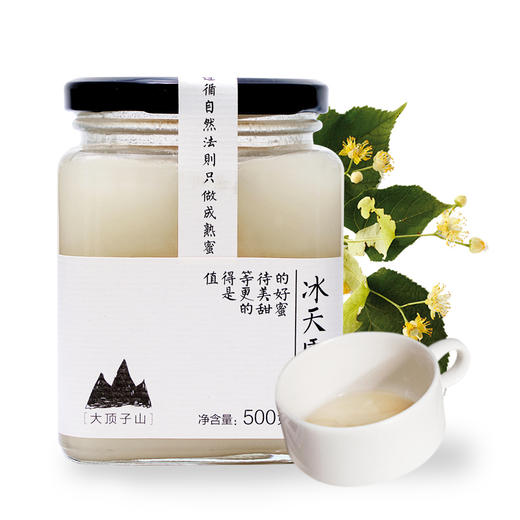 北大荒 东北黑蜂 冰天雪蜜 椴树成熟蜜 纯蜂蜜500g 玻璃瓶装 匠心 成熟蜜 压榨蜜（新老包装随机发货） 商品图0