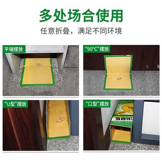 金大侠粘鼠板老鼠贴捕鼠器10张 商品图4