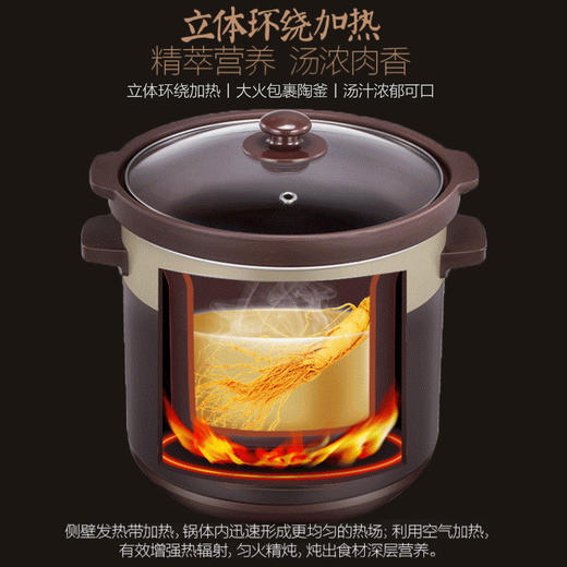 美的（Midea）电炖锅电炖盅煮粥锅5L大容量南都陶釜内胆陶瓷煮粥煲汤电砂锅家用预约全自动DG50Easy201 商品图2