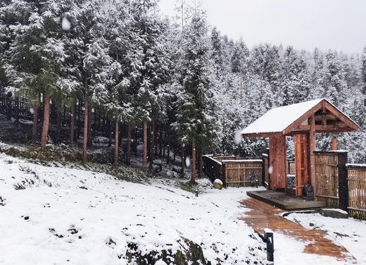 【彭州·476号院】4房森林小院，全屋地暖、投影，山林避暑、隐于乡野的山间雅致 ZZSJ 商品图3