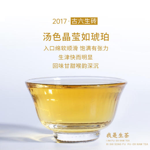 禧狮送福古六茶砖/生茶/熟茶 商品图3
