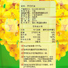 刀唛 Knife 食用油 低芥酸菜籽油 芥花籽油4.68L  压榨一级 商品缩略图5