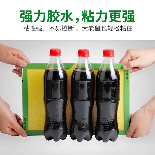金大侠粘鼠板老鼠贴捕鼠器10张 商品图6