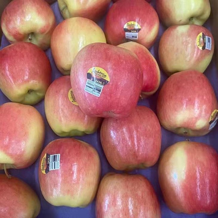 美国神仙果ambrosia 新鲜上市 "爽脆神仙果"它黄红双色的光泽外表