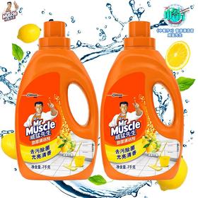 威猛先生 地面清洁剂 柠檬 2kg*2瓶 瓷砖清洁剂 除菌 除垢 木地板清洁剂 地板水（新老包装随机发货）