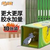 金大侠粘鼠板老鼠贴捕鼠器10张 商品缩略图1