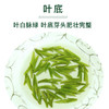 一杯香龙井茶明前头芽2020新茶礼盒装茶叶绿茶散装茗茶100克 商品缩略图3