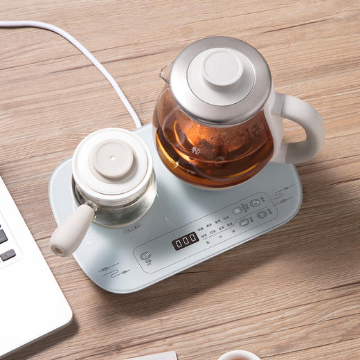 小熊（Bear）煮茶器煮茶壶 0.8L蒸汽喷淋式蒸茶壶养生壶电水壶热水壶304不锈钢烧水壶黑茶ZCQ-A08E1 商品图1