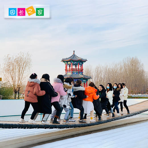 园长之家户外网红荡桥摇摆桥游乐设备运动玩具实木成人亲子儿童 商品图2