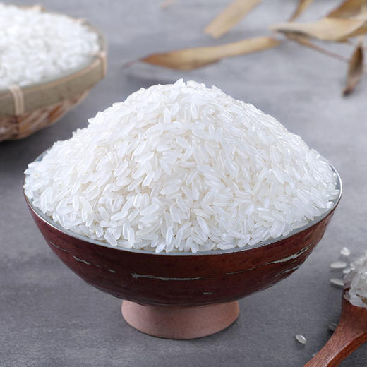 十月稻田 寒地之最 五常有机稻花香米 东北大米5kg 当季新米 商品图2