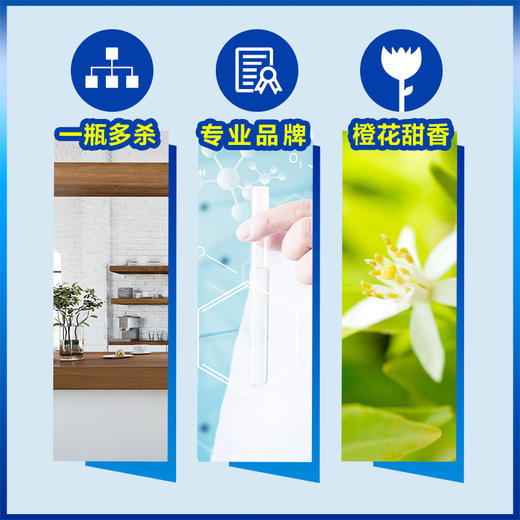 雷达 杀虫剂喷雾 杀蟑螂 550ml*2瓶 香甜橙花 灭蟑螂 蟑螂屋 杀虫剂 灭小强 杀蟑饵剂 全窝端 蟑螂克星 商品图3