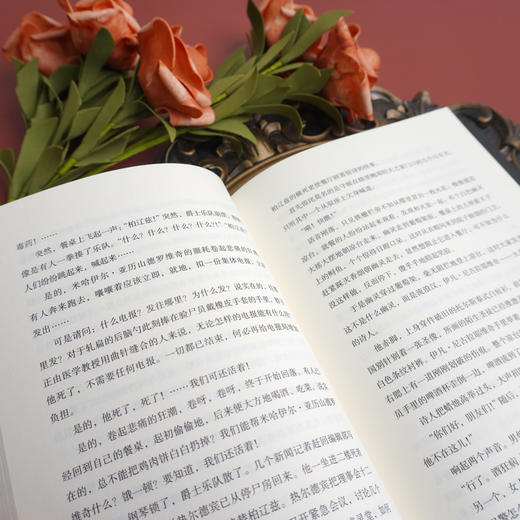 大师和玛格丽特 外国长篇小说 魔幻现实主义文学 正版 华东师范大学出版社 商品图3