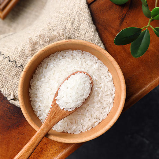 柴火大院 绿色食品 五常大米 稻花香米 东北大米5kg 商品图3