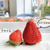 来自丹东的牛奶草莓-爆甜多汁，草莓味超浓！（一盒约1.8-2斤） 商品缩略图4