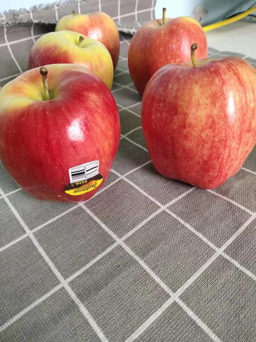 美国神仙果ambrosia 新鲜上市 "爽脆神仙果"它黄红双色的光泽外表