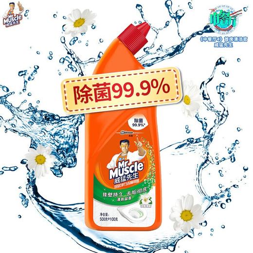 威猛先生 洁厕灵 淡雅清新 500g+100g 洁厕液 洁厕剂 马桶厕所清洁剂 洁厕宝 去异味 洁厕神器 除垢 去渍 商品图0