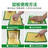 金大侠粘鼠板老鼠贴捕鼠器10张 商品缩略图3