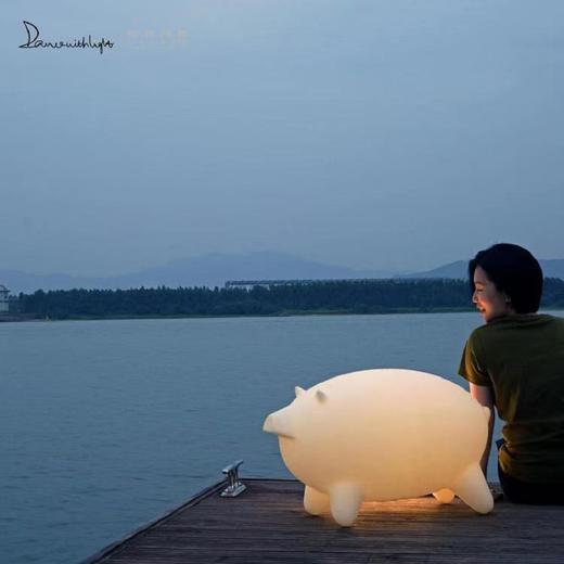 与光共舞 猪猪艺术灯 商品图4