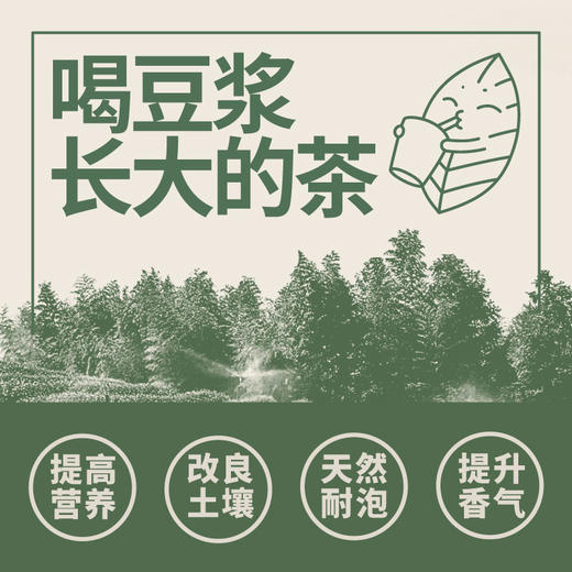 修哲无农残茶叶台湾高山茶冻顶乌龙茶256g（128g*2罐）赛过大红袍 肉桂 铁观音 凤凰单枞 浓香型 送礼袋 商品图2