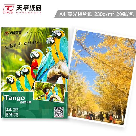 天章（TANGO）新绿天章A4 230g高光面照片纸  照片打印纸 20张/包 商品图0