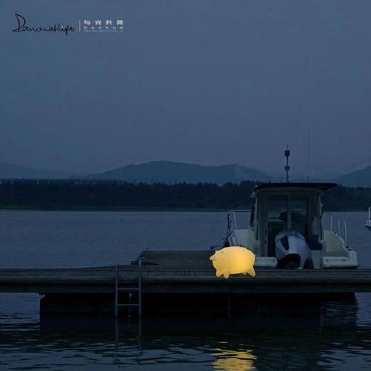 与光共舞 猪猪艺术灯 商品图1