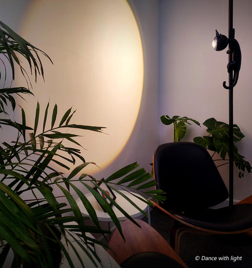 GATO 室内氛围艺术灯 商品图1