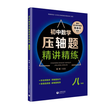 初中数学压轴题精讲精练.八年级 商品图1