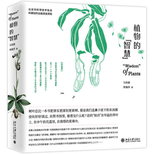 《植物的“智慧”》作者：马炜梁,寿海洋；定价：128元 商品图0