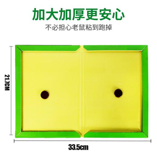 金大侠粘鼠板老鼠贴捕鼠器10张 商品图2