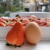来自丹东的牛奶草莓-爆甜多汁，草莓味超浓！（一盒约1.8-2斤） 商品缩略图1