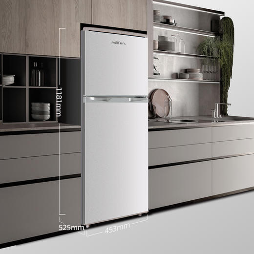 新飞（Frestec）118升 小型双门两门小冰箱家用宿舍 租房冰箱办公室 迷你节能 环保内胆（钛空银）BCD-118L2D 商品图6