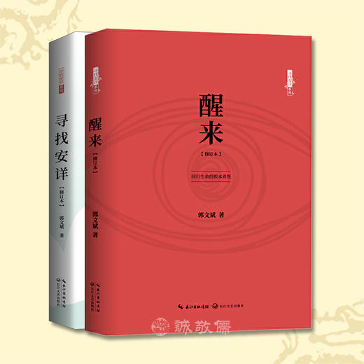 郭文斌老师寻找安详系列套装：寻找安详+醒来2本1套经典散文幸福 商品图0