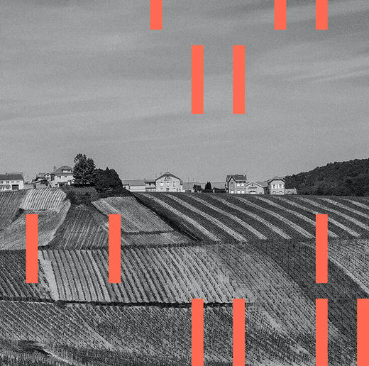 Delamotte Blanc de Blancs 2018 德乐梦香槟白中白 2018 商品图7