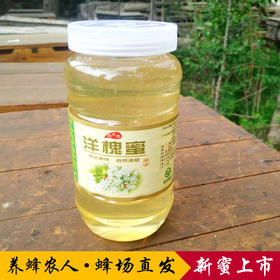 【常州馆】洋槐蜂蜜纯天然农家自产自销纯正宗槐花蜂蜜新鲜洋槐花蜂蜜1000克