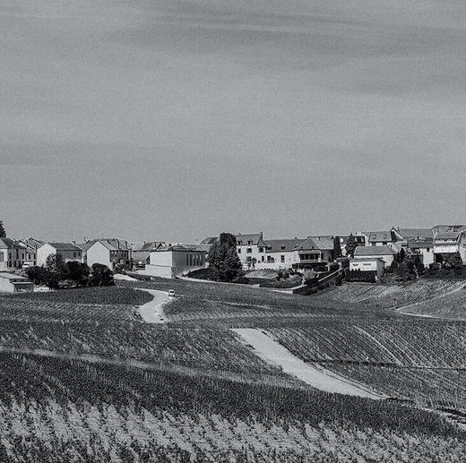 Delamotte Blanc de Blancs 2018 德乐梦香槟白中白 2018 商品图6