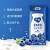 纯甄蓝莓果粒风味酸奶康美笑脸包200g×10包 商品缩略图3